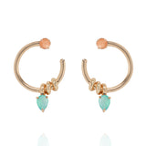 Twisted Hoops